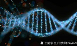 燃烧DNA在线观看,揭秘基因燃烧的奥秘与未来